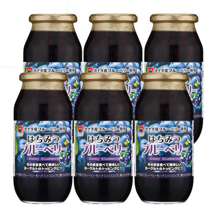 加藤美蜂園本舗 高畠食品工業 はちみつブルーベリー 650g×6本 RSL
