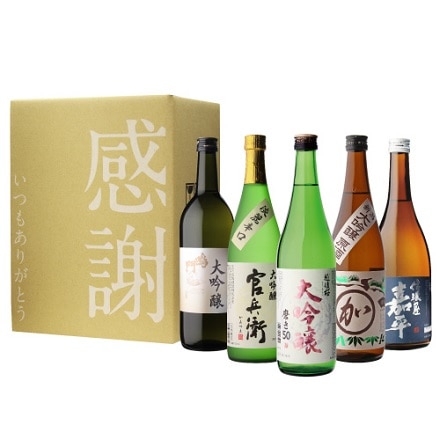 日本酒 大吟醸酒 飲み比べ セット 720ml×5本 RSL