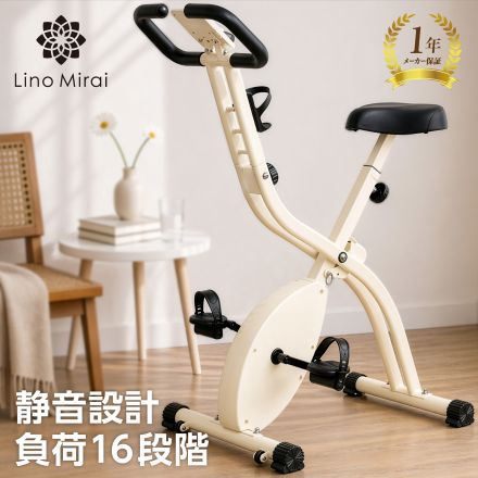 Lino Mirai リビングバイク フィットネスバイク トレーニングバイク