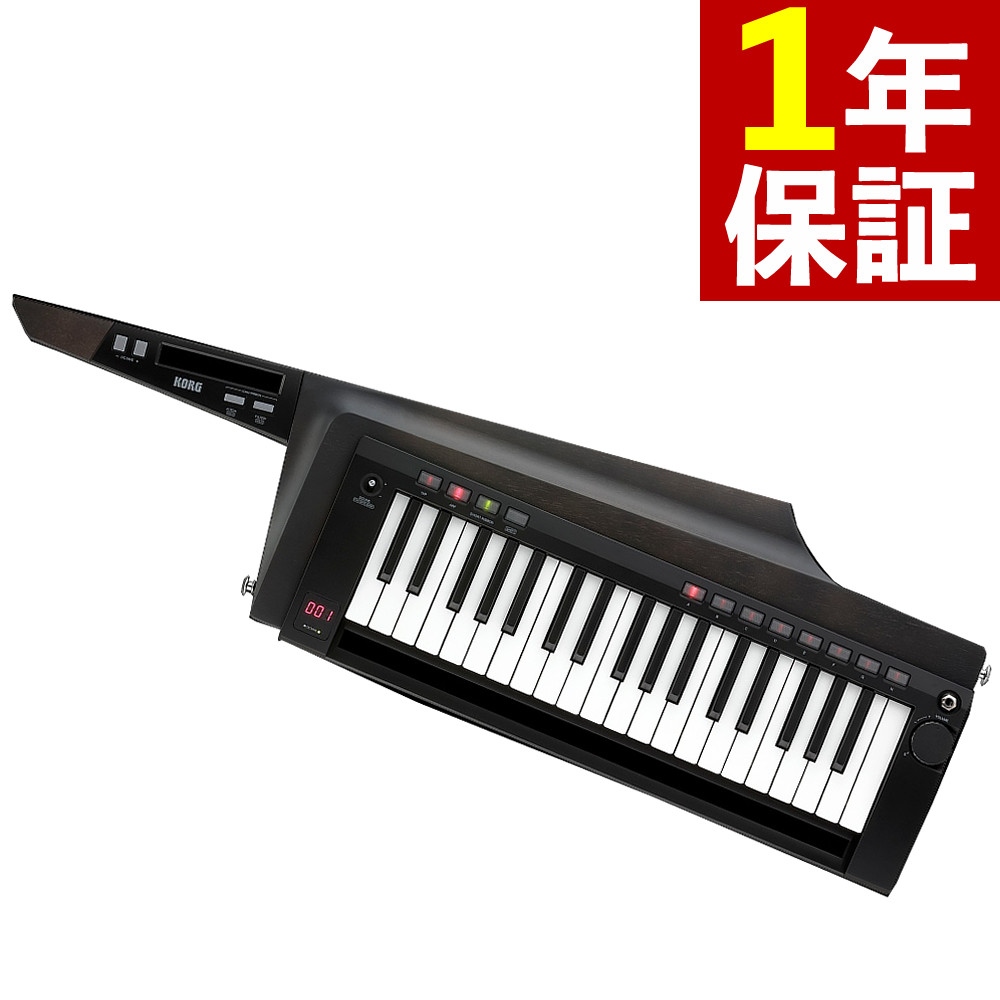 KORG ショルダーキーボード KEYTAR RK-100S 2 BK コルグ