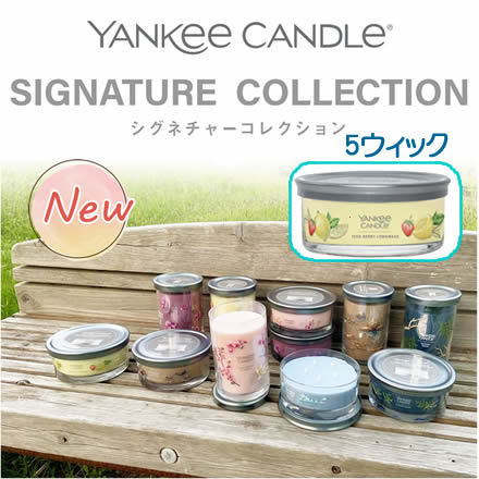 YANKEE CANDLE（ヤンキーキャンドル）シグネチャー タンブラー5ウィック アロマキャンドル ベイサイドシダー