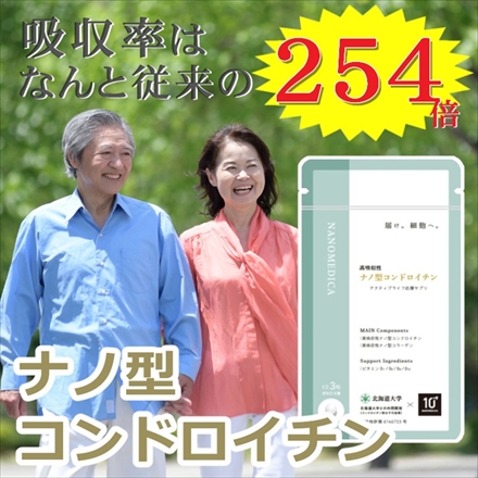 丸共バイオフーズ NANOMEDICA 高吸収性 ナノ型コンドロイチン サプリメント（メール便）