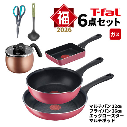 【調理器具】T-fal 15455 2026 福箱 ガス クランベリー＆マルチポット
