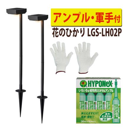 タカショー LGS-LH02P ブラック ひかりノベーション SUNCHARGE 花のひかり アンプル 軍手 セット