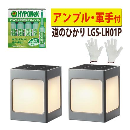 タカショー LGS-LH01P ブラック ひかりノベーション SUNCHARGE 道のひかり アンプル 軍手 セット