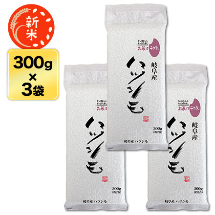 新米 白米 岐阜県産 ハツシモ 900g 令和7年産