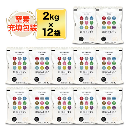 白米 岩手県産 銀河のしずく 24kg 2kg×12袋 特A評価 令和7年産