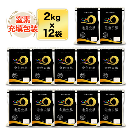 白米 岩手県産 金色の風 24kg ( 2kg×12袋 ) 令和7年産