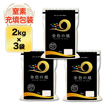 白米 岩手県産 金色の風 6kg ( 2kg×3袋 ) 令和7年産