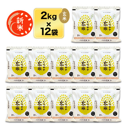 新米 玄米 新潟県中魚沼産 コシヒカリ 24kg 2kg×12袋 特別栽培米 生産者指定米 特A評価 令和8年産 窒素充填包装