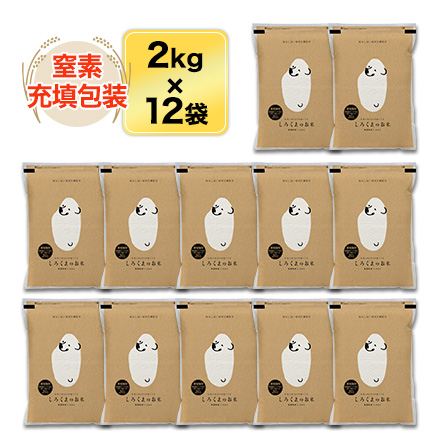 白米 新潟県産 コシヒカリ 24kg 2kg×12袋 令和7年産