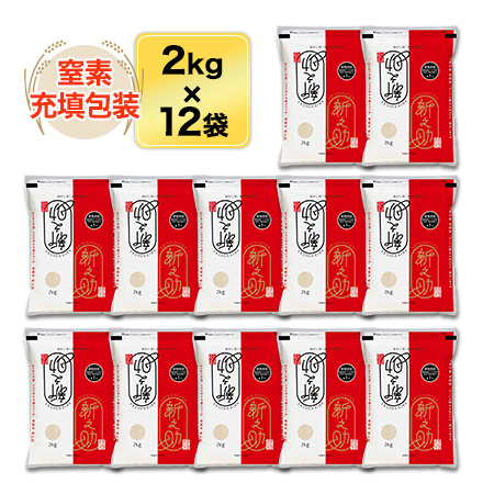 白米 新潟県産 新之助 24kg 2kg×12袋 令和7年産