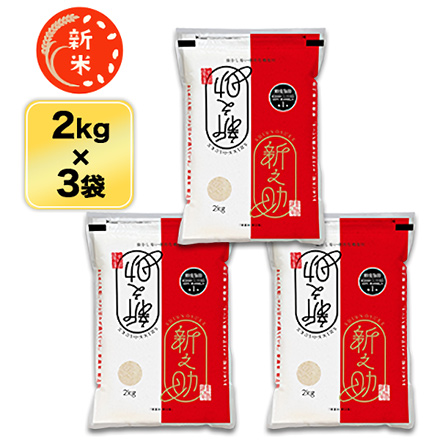 新米 白米 新潟県産 新之助 6kg 2kg×3袋 令和7年産