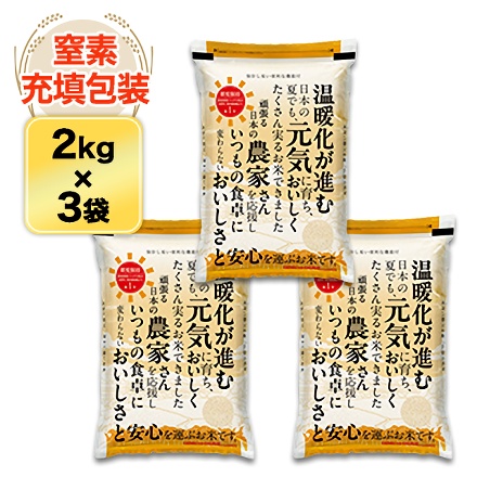 白米 おひさま米 栃木県産 とちぎの星 6kg 2kg×3袋 令和7年産