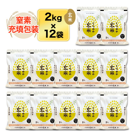 玄米 山形県産 つや姫 24kg 2kg×12袋 特別栽培米 特A評価 令和7年産