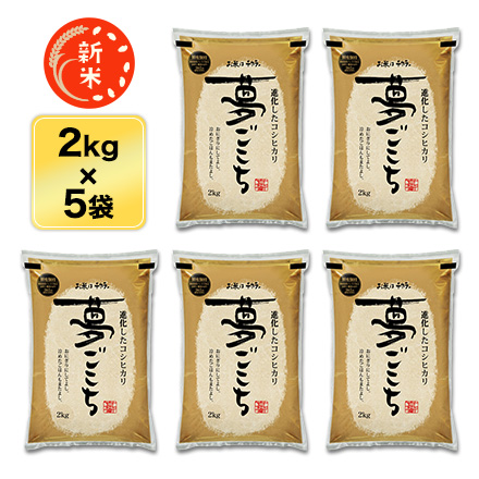 新米 白米 石川県産 夢ごこち 10kg 2kg×5袋 特別栽培米 令和7年産