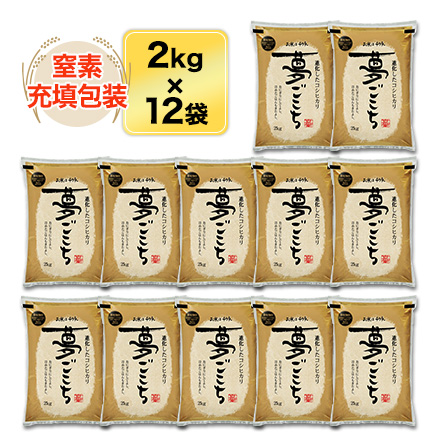 白米 石川県産 夢ごこち 24kg 2kg×12袋 特別栽培米 令和7年産