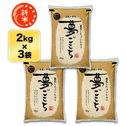 新米 白米 石川県産 夢ごこち 6kg 2kg×3袋 特別栽培米 令和7年産