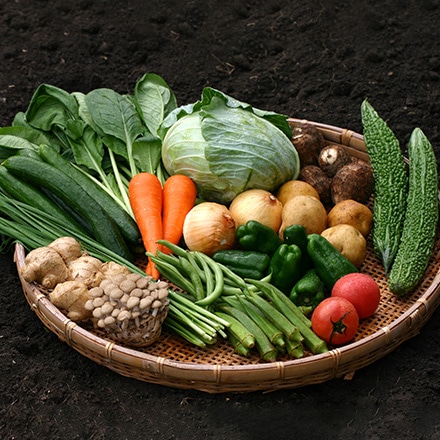 タマチャンショップ 九州野菜詰め合わせセット 18品