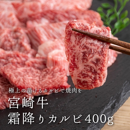 タマチャンショップ 宮崎牛 霜降りカルビ 400g