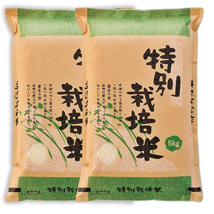 タマチャンショップ 九州産 合鴨農法米 10kg 令和6年産