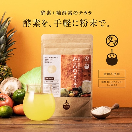 タマチャンショップ みらいのこうそ レモン味 100g｜永久不滅ポイント