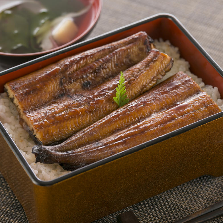 うなぎ屋きた本　うなぎ蒲焼きセット（4人前）　有限会社北本養鰻場　高知県　予約殺到の人気うなぎ店の蒲焼きをお届け