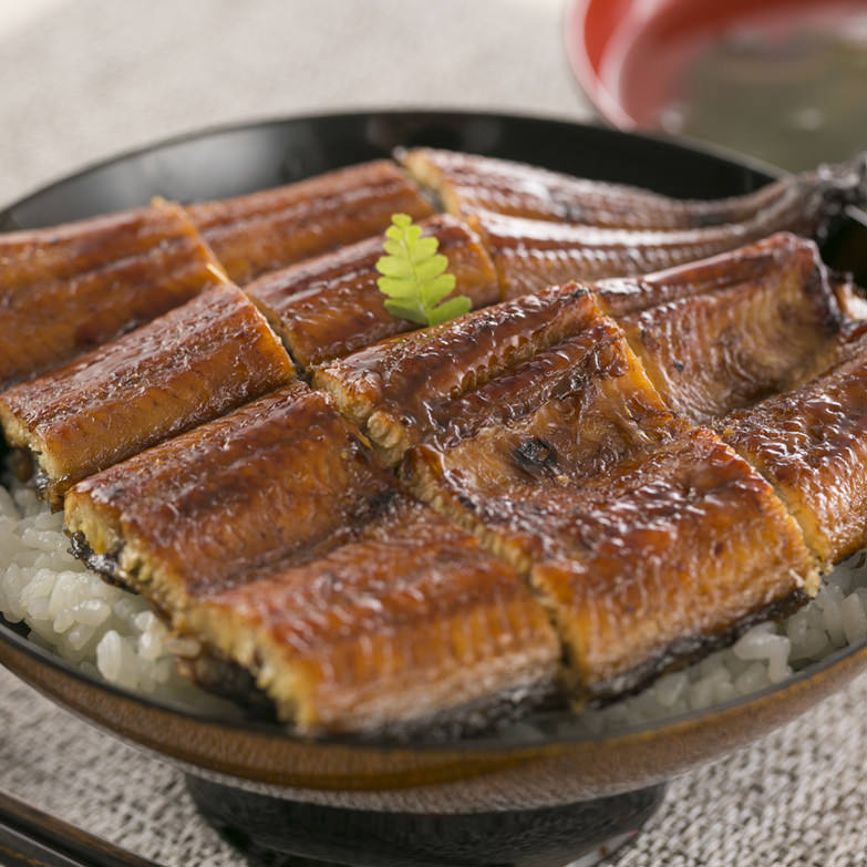 うなぎ屋きた本　うなぎ蒲焼きセット（3人前）　有限会社北本養鰻場　高知県　注文殺到！人気のうなぎ店の良質うなぎの蒲焼き