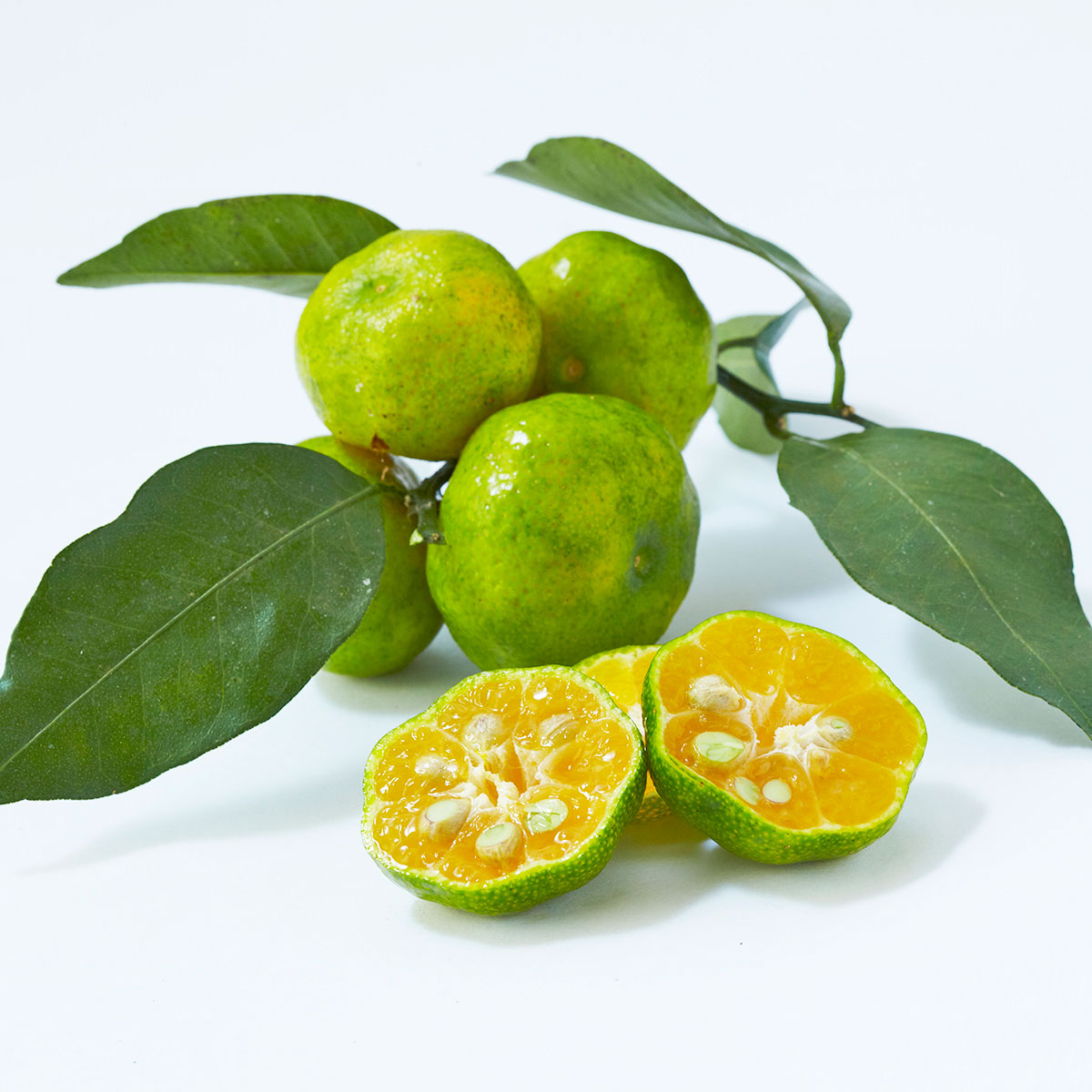 大宜味村産 青切シークワーサージュース 100% 業務用 〔1.48L×3本〕 沖縄県 やえやまファーム