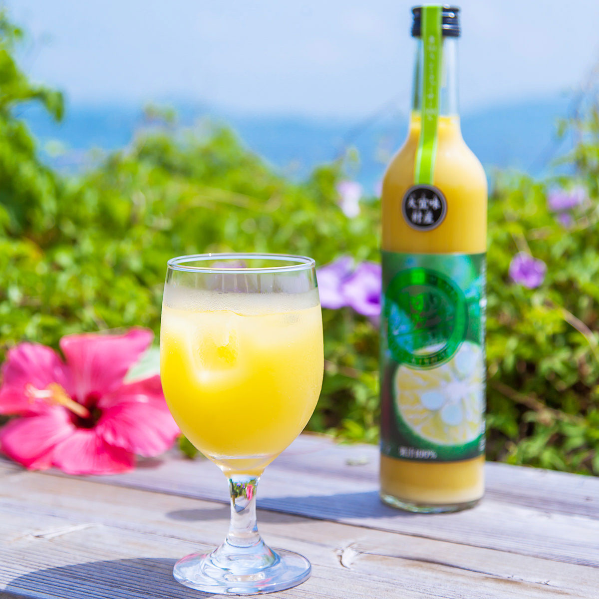 大宜味村産シークワーサー 飲みくらべセット 〔青切500ml・黄金500ml〕無添加 ジュース 沖縄県 やえやまファーム