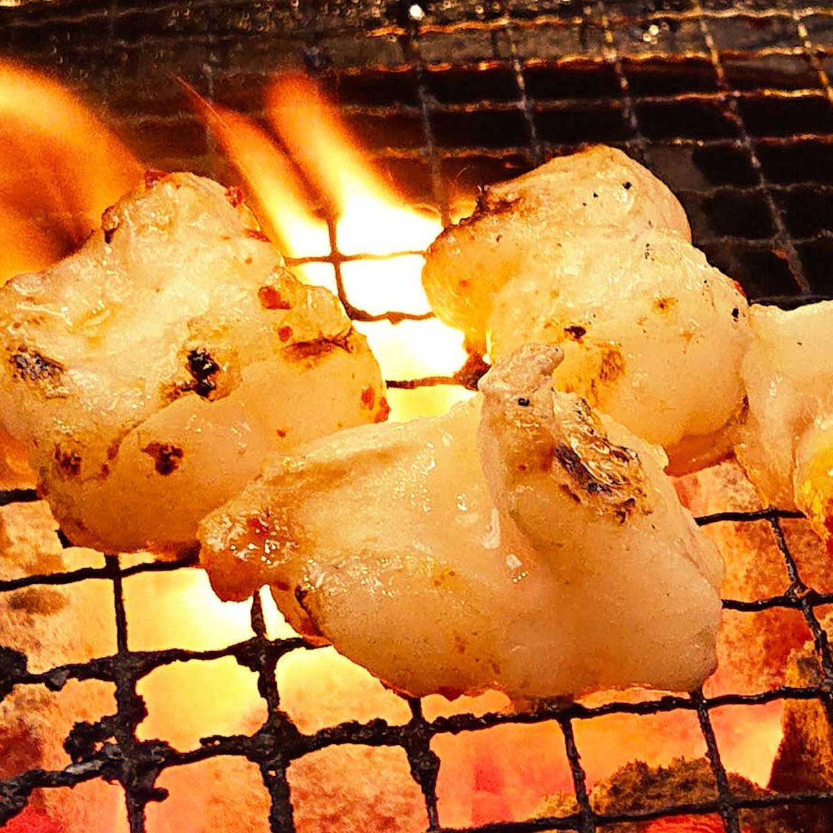 国産牛ホルモン 〔500g〕 牛ホルモン