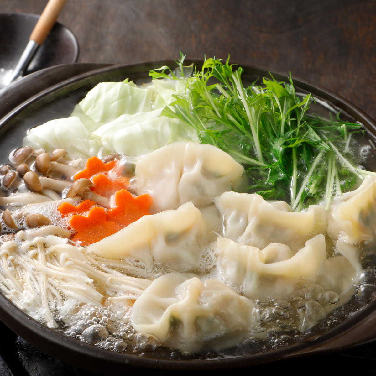 巣鴨餃子 清緑園 水餃子 パクチー水餃子 〔(水餃子約28g×12個)×2・(パクチー水餃子約28g×12個)×2〕 餃子