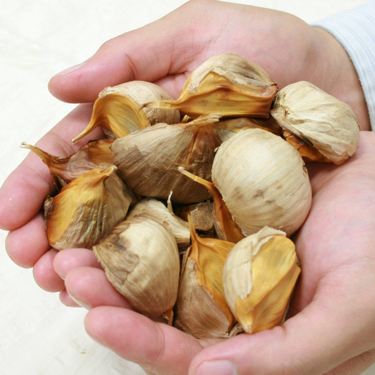 ガリプロ 発酵黒にんにく 〔500g〕 にんにく