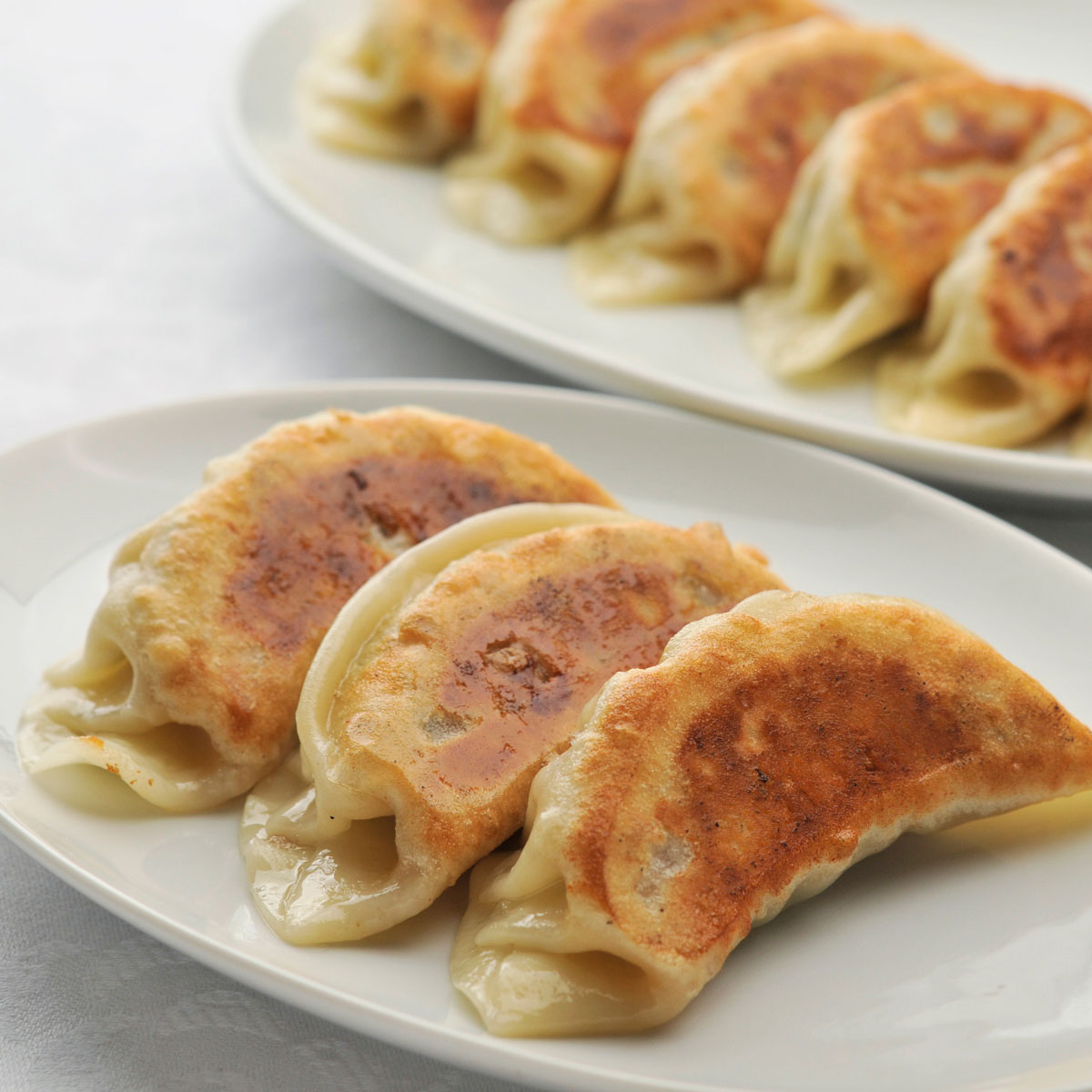 天津飯店 特製ジャンボ餃子 海老とニラの水餃子 〔特製ジャンボ餃子40g、海老とニラの水餃子20g 各30個〕 餃子 点心 中華惣菜