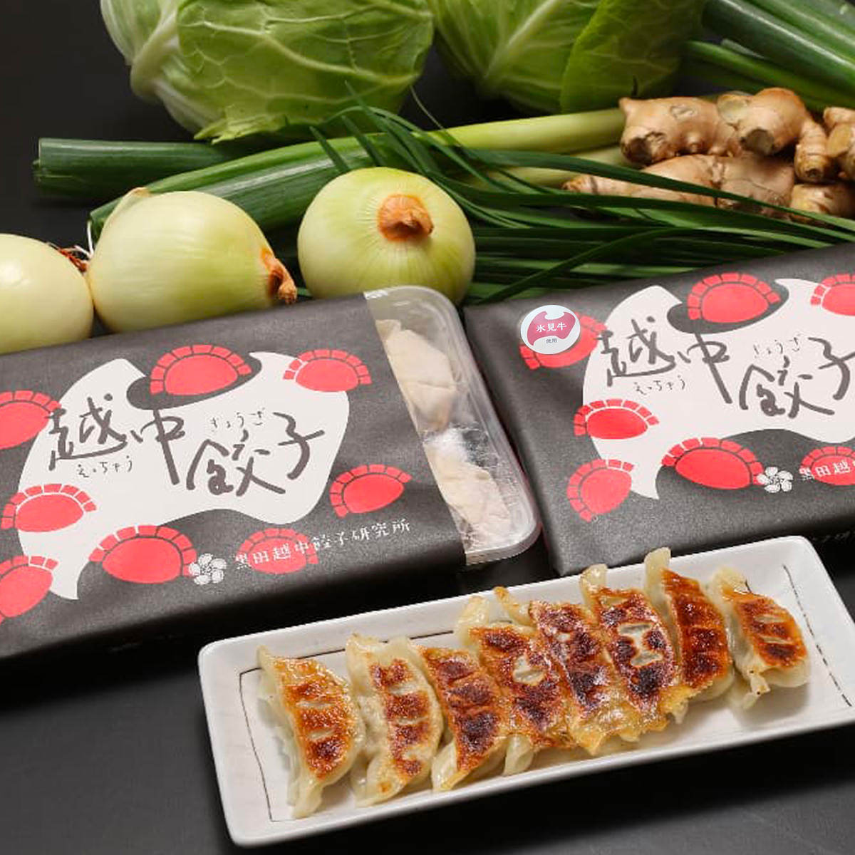 冷凍餃子 氷見牛入り 越中餃子 徳用 〔餃子(約20g×16)×4、餃子のたれ(たれ7.3g、ラー油0.7g)×12〕 生餃子 中華惣菜【北海道・沖縄県・離島 配送不可】