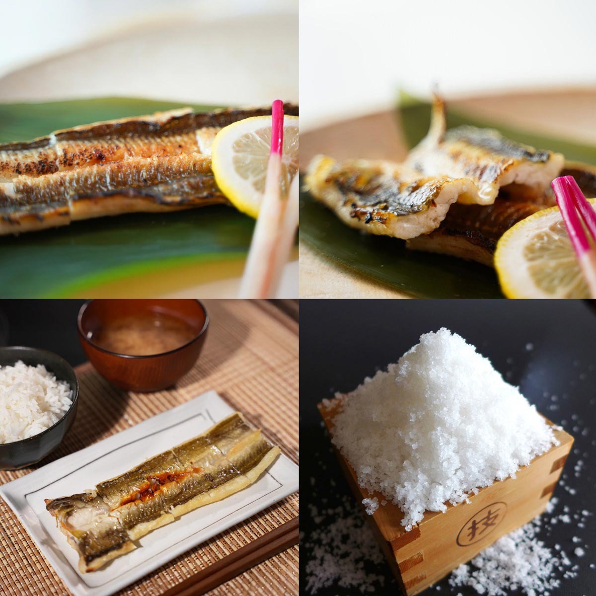 天女の羽衣 あなご 一夜干し 詰め合わせ 岡富商店〔250g×2尾〕穴子 干物
