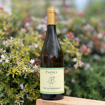 パペオ ヴェルメンティーノ 2021