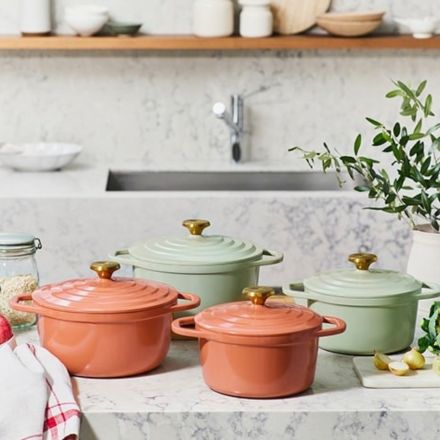 T-fal ティファール キャストライン エアココット IHココット鍋 20cm テラコッタ E26844