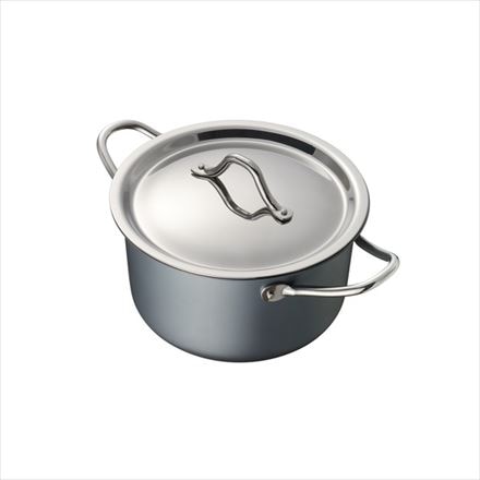 TE2NABE 鉄鍋 鉄分 鍋 シチューポット 18cm