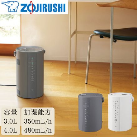 象印マホービン スチーム式加湿器 4.0L グレー EE-DF50-HA 加湿能力480mL/h