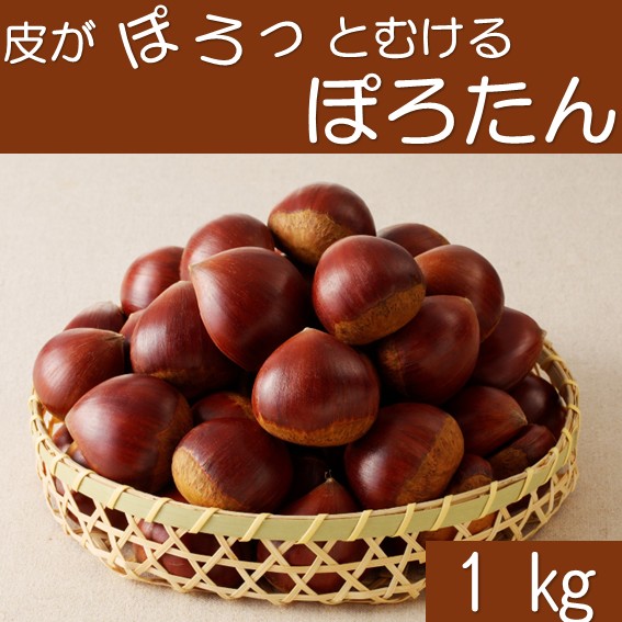 栗 東美濃ぽろたん 岐阜県産 1kg 【販売終了日 11月30日・数量限定】