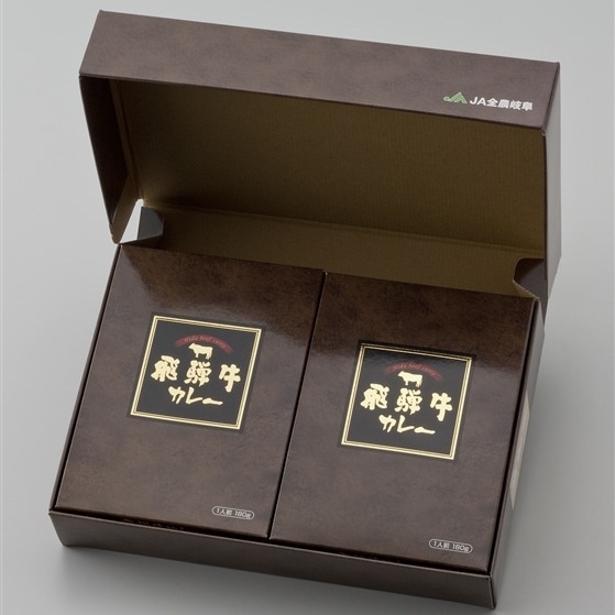 レトルト 飛騨牛カレー 6個（化粧箱入）