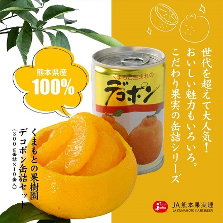 JA熊本果実連 くまもとの果樹園 熊本県産 デコポン 缶詰 300g×10 D-30