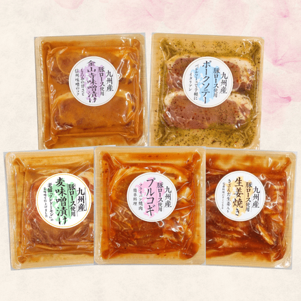 JA全農ミートフーズ 九州産 豚ロースたれ漬け詰め合わせセット