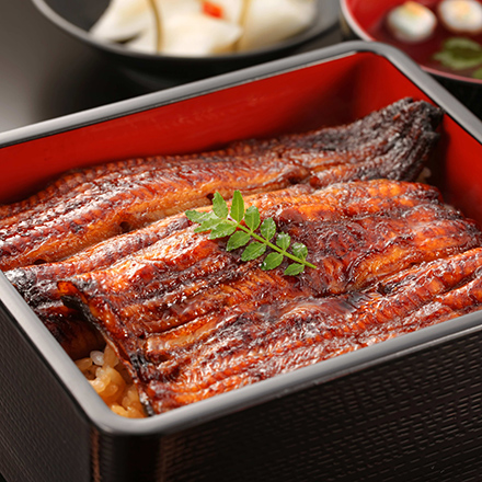 静岡県 浜名湖産 うなぎ 2尾長焼 約170g×2