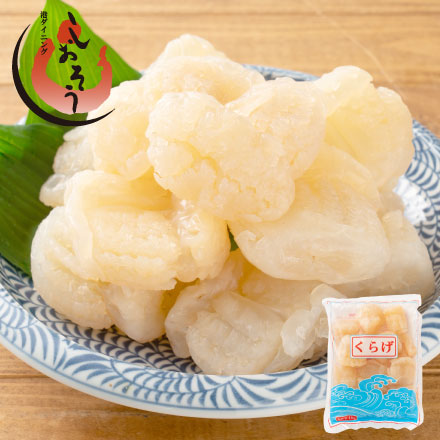 キャノンボールクラゲ 1kg