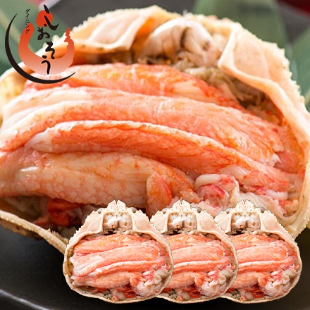 ズワイガニ 甲羅盛り 越前産 中サイズ×3個 （甲羅横幅 約11cm)