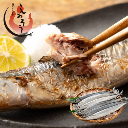 北海道産 秋刀魚 1kg（8本入り）
