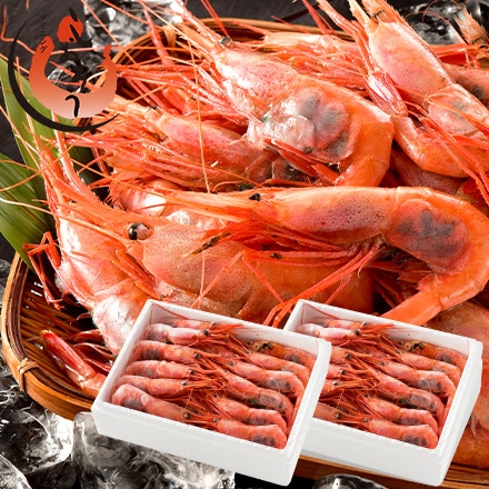 甘えび 子持ち 越前産 特大サイズ 1kg （約60尾入り）