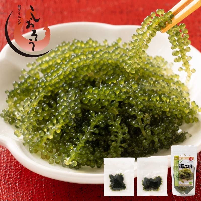 種類が選べる海ぶどう　(沖縄県産海ぶどう50ｇ×1袋）